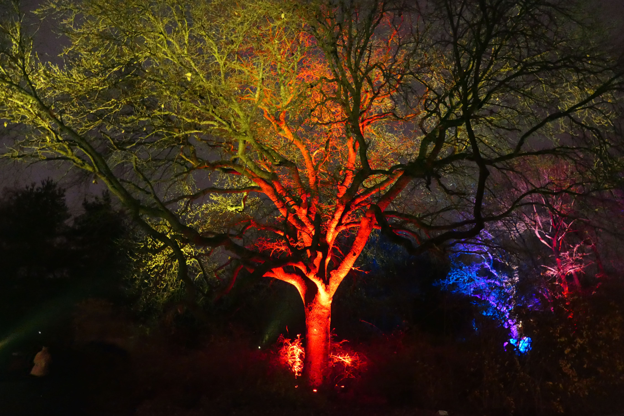 Weihnachtsstimmung im Tierpark Berlin